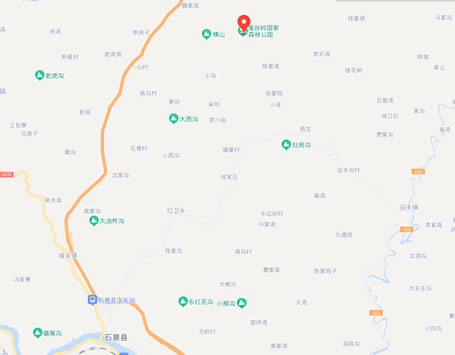 ���ȎX����ɭ�ֹ��@���ΈD