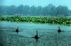 ��������^(q��)