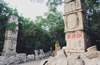 ��(j��)��ǧ��ɽ�L(f��ng)���^(q��)